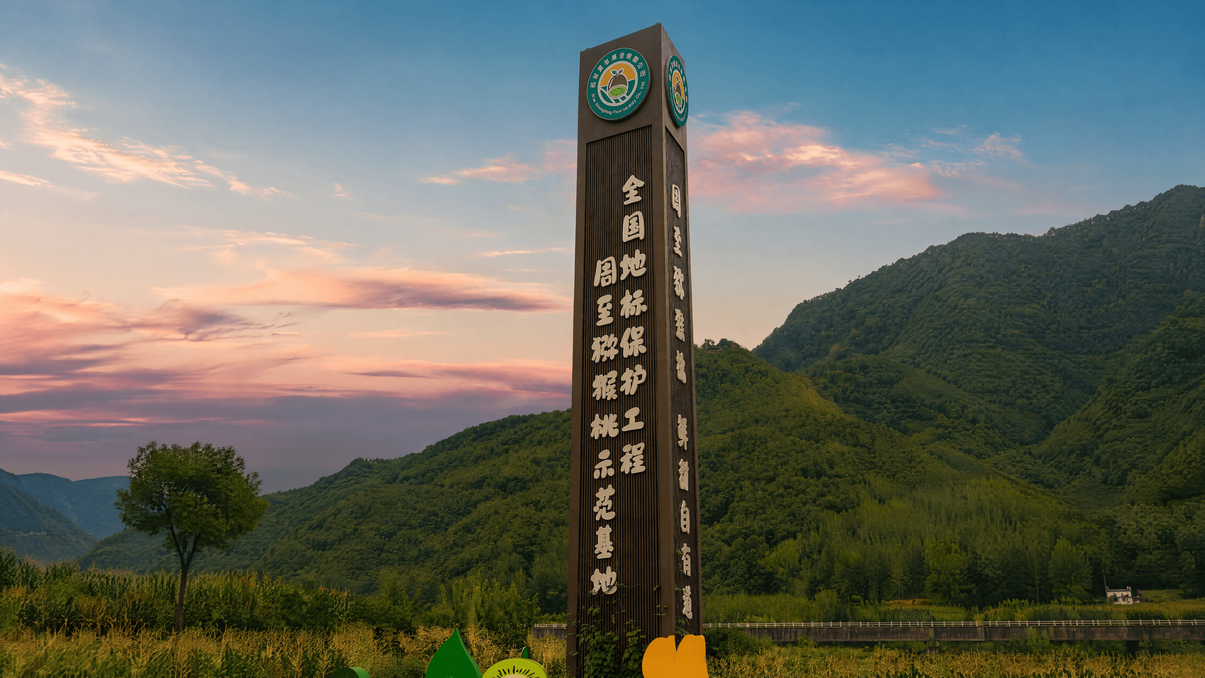 周至核心产区