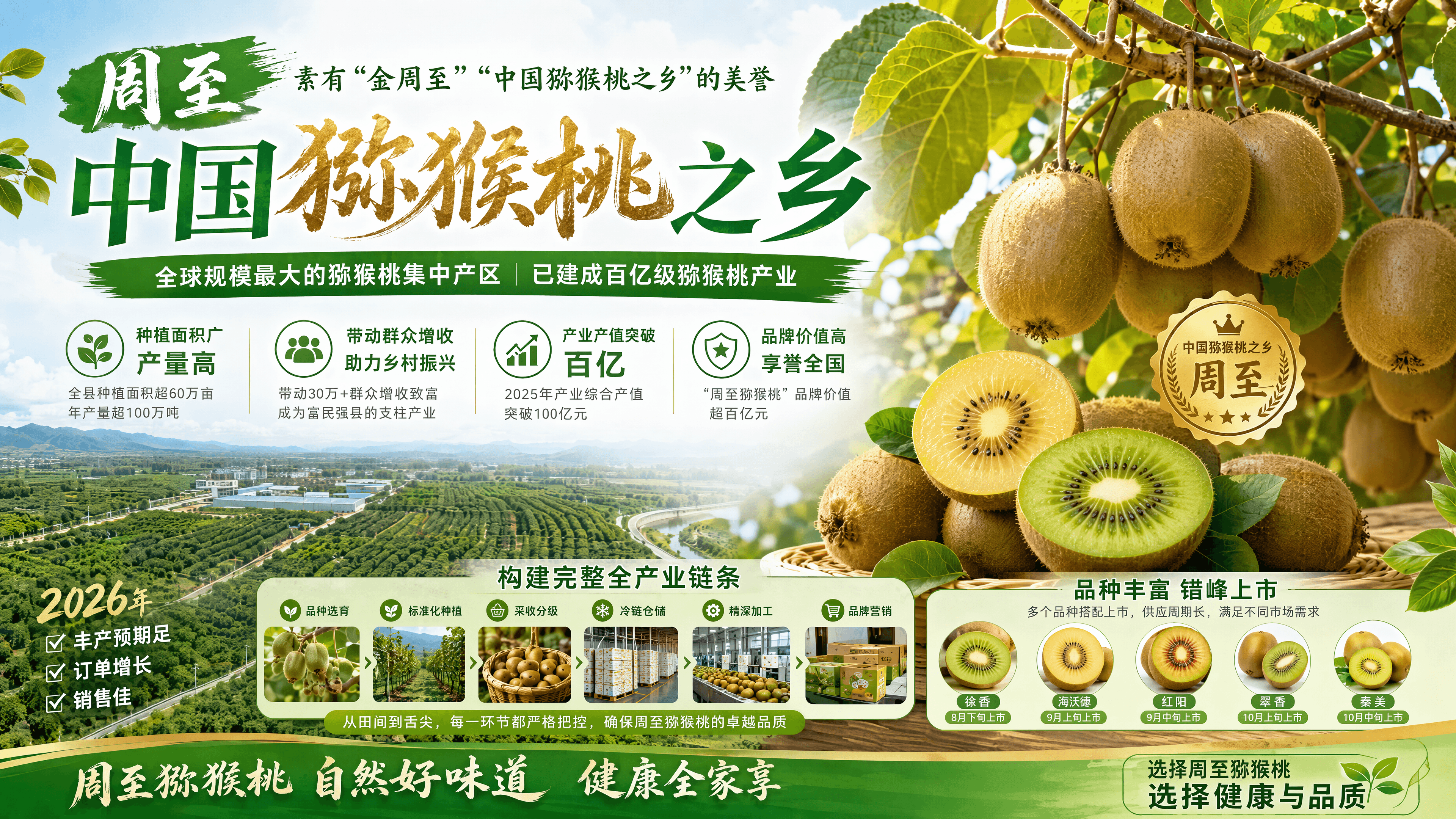 行业动态配图