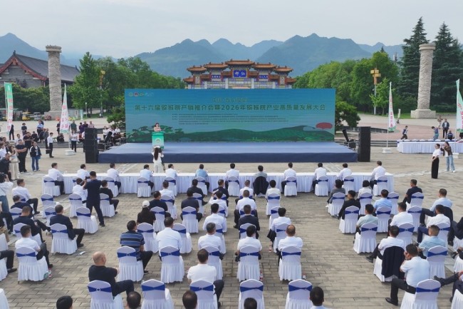 行业动态配图