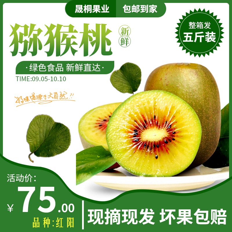 红阳
